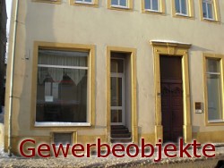 Immobilien in Hainichen - Gewerbeobjekte